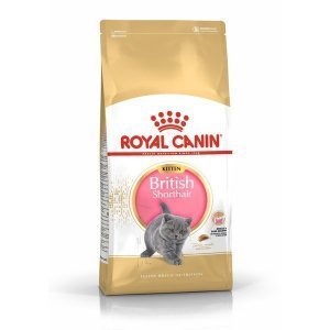 Сухой корм для котят Royal Canin Kitten British Shorthair