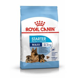 Сухой корм для собак Royal Canin Maxi Starter Mother & Babydog