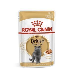 Влажный корм для кошек Royal Canin British Shorthair Adult в соусе