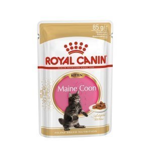 Влажный корм для котят Royal Canin Maine Coon Kitten соус