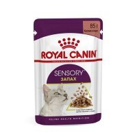 Royal Canin Sensory Smell Влажный корм для взрослых кошек стимулирующие обонятельные рецепторы кусочки в соусе
